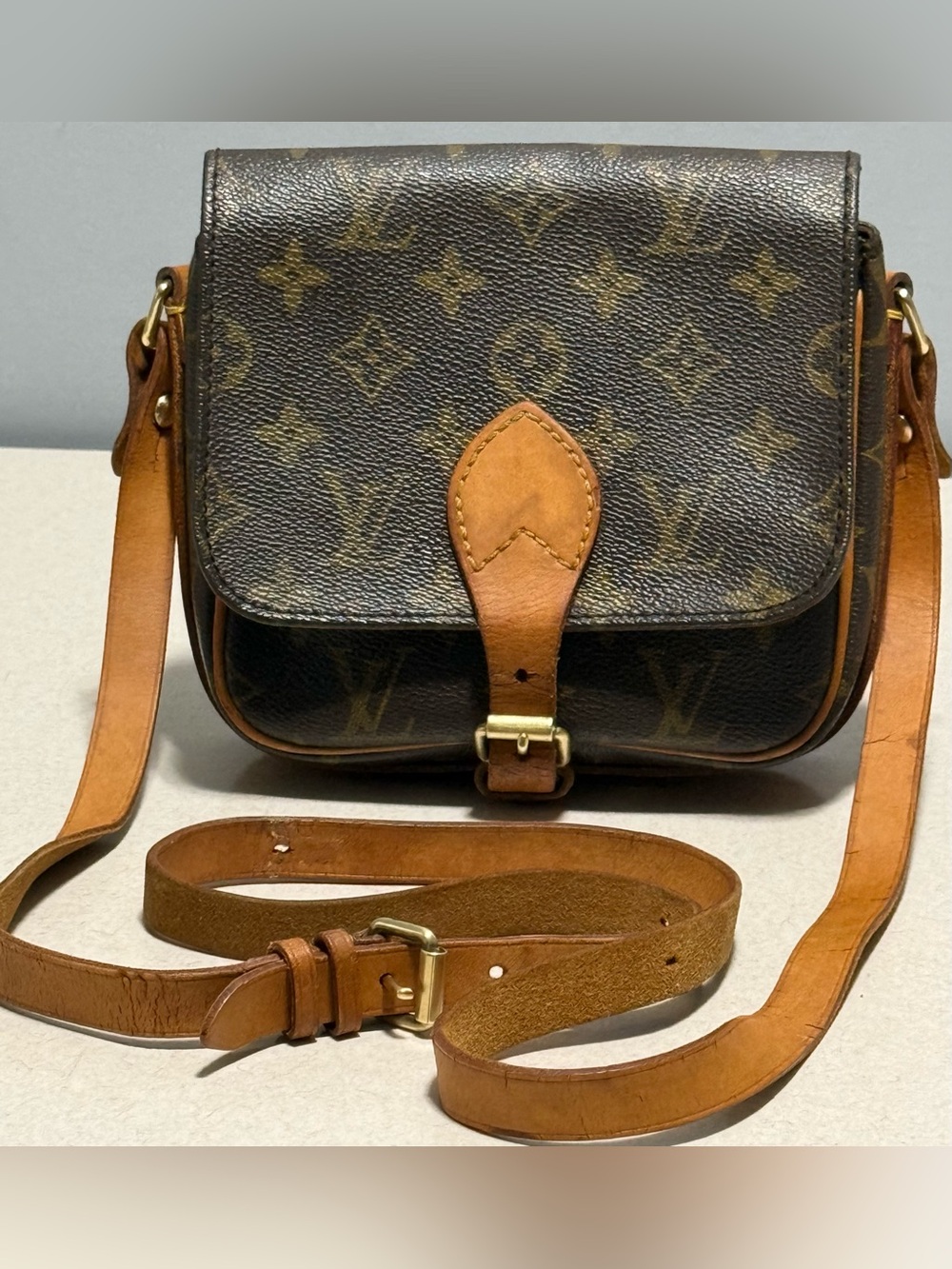 Louis Vuitton Vintage Cartouchiere PM Monogram Canvas Leather